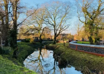 Toxic chemicals found in Welsh rivers
