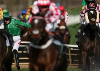 Cheltenham Festival horse HMS Seahorse dies after second day of racing after failing jump