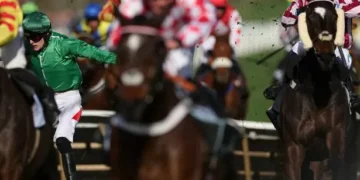 Cheltenham Festival horse HMS Seahorse dies after second day of racing after failing jump