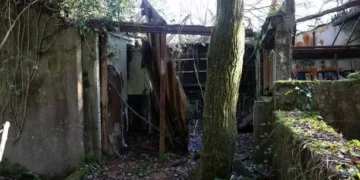 Tourist attraction visited by children across Wales abandoned and lost to nature