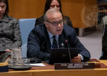 War in Iran, Middle East Threatens Global Agrifood Systems