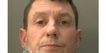 Man attacks three children playing in park