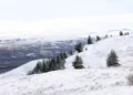 Met Office verdict on reports wintry blizzards are to hit parts of UK
