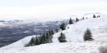 Met Office verdict on reports wintry blizzards are to hit parts of UK