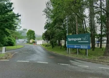 Former gun dealer found with 2,500 rounds of ammunition after losing licence