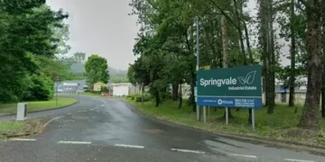 Former gun dealer found with 2,500 rounds of ammunition after losing licence