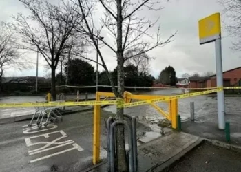 Boy accused of gang rape of 13-year-old in bushes ‘was happy’ after alleged assault