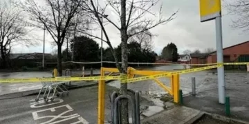 Boy accused of gang rape of 13-year-old in bushes ‘was happy’ after alleged assault