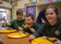 Reasons more children aren’t eating free school meals in Wales
