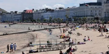 This is how you can still get 43 days off work this year