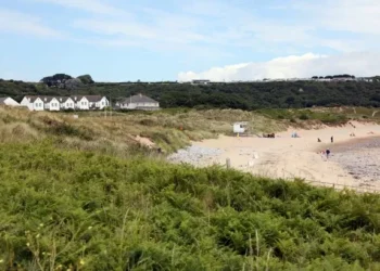 Swansea Council wants to build giant climbing frame in seaside village and locals aren’t happy