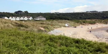 Swansea Council wants to build giant climbing frame in seaside village and locals aren’t happy