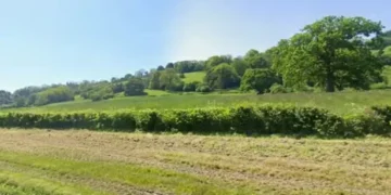 Plans for site where bodies will be allowed to naturally decompose