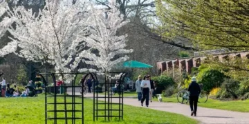 Wales set to bask in 22C sunshine but temperatures are about to absolutely plummet