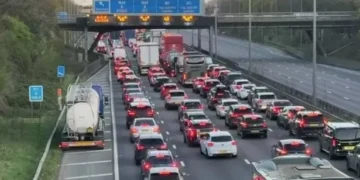 Man armed with spiked piece of wood shut one of UK’s busiest motorways for two hours