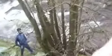 Moment man attempts to flee from police across river before having second thoughts