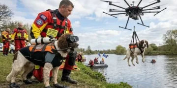 April Fool’s Day 2026: The best pranks, from Matcha Mayo to pre-booking countryside walks