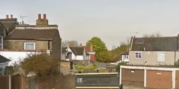 Woman, 84, dies after being stabbed outside her home as ‘son arrested’