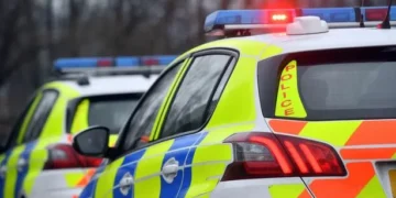 Woman injured in town centre dog attack