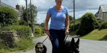 I’ve been saving animals for more than 20 years but the future now looks bleak