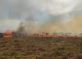 Massive fire at beauty spot sparks huge emergency service response