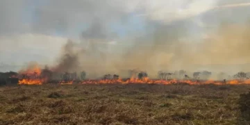 Massive fire at beauty spot sparks huge emergency service response