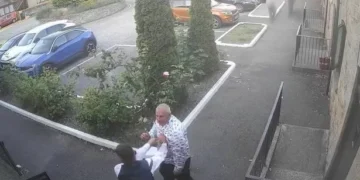 Dog groomer attacked by rival’s husband after winning award