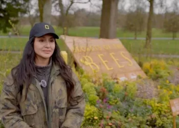 Expert tips on attracting bees to your garden with wildflowers and plants