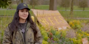 Expert tips on attracting bees to your garden with wildflowers and plants