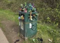 Dog walkers baffled after disgusting park bin overflowing with poo is removed