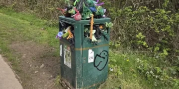 Dog walkers baffled after disgusting park bin overflowing with poo is removed