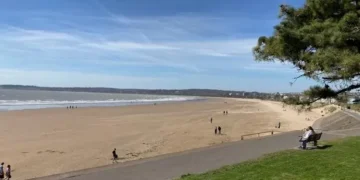 Beach huts and padel courts among plans to improve Swansea seafront at Blackpill Lido and Singleton boating lake